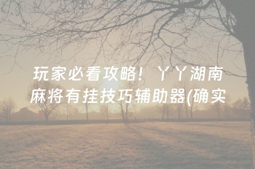 玩家必看攻略！丫丫湖南麻将有挂技巧辅助器(确实是有挂的)