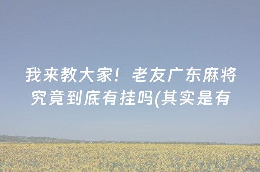 我来教大家！老友广东麻将究竟到底有挂吗(其实是有挂的)