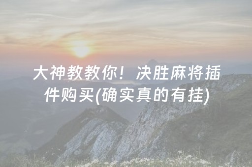 大神教教你！决胜麻将插件购买(确实真的有挂)