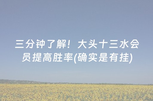 三分钟了解！大头十三水会员提高胜率(确实是有挂)