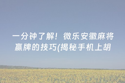 一分钟了解！微乐安徽麻将赢牌的技巧(揭秘手机上胡牌神器)