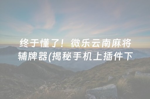 终于懂了！微乐云南麻将辅牌器(揭秘手机上插件下载)