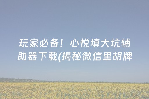 玩家必备！心悦填大坑辅助器下载(揭秘微信里胡牌神器)
