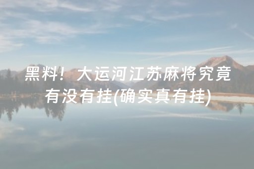 黑料！大运河江苏麻将究竟有没有挂(确实真有挂)