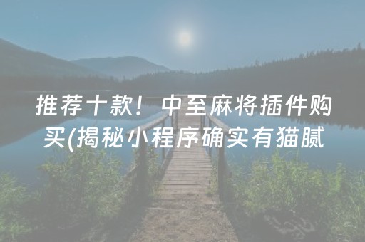 推荐十款！中至麻将插件购买(揭秘小程序确实有猫腻)