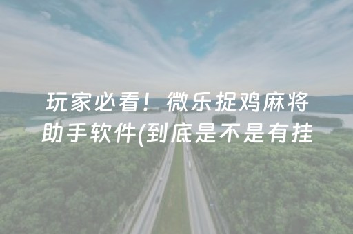 玩家必看！微乐捉鸡麻将助手软件(到底是不是有挂)