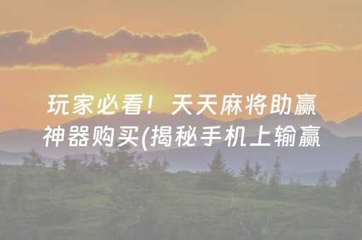 玩家必看！天天麻将助赢神器购买(揭秘手机上输赢规律)