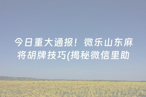 今日重大通报！微乐山东麻将胡牌技巧(揭秘微信里助赢软件)