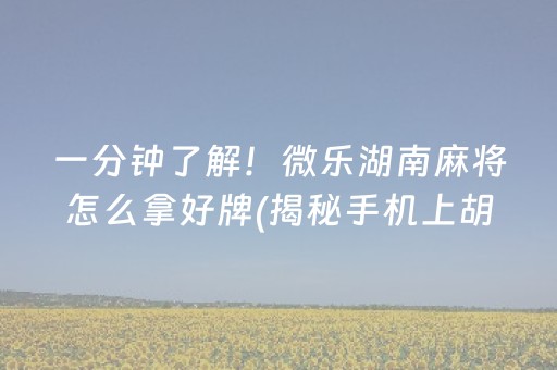 一分钟了解！微乐湖南麻将怎么拿好牌(揭秘手机上胡牌神器)