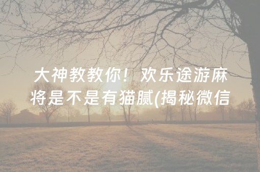 大神教教你！欢乐途游麻将是不是有猫腻(揭秘微信里胜率到哪调)