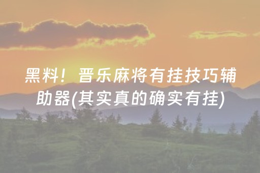 黑料！晋乐麻将有挂技巧辅助器(其实真的确实有挂)