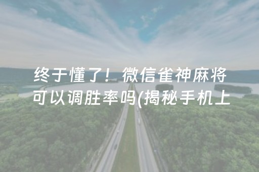 终于懂了！微信雀神麻将可以调胜率吗(揭秘手机上赢牌的技巧)