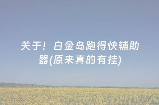 关于！白金岛跑得快辅助器(原来真的有挂)