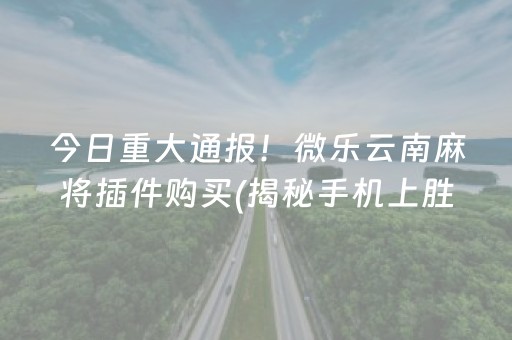 今日重大通报！微乐云南麻将插件购买(揭秘手机上胜率到哪调)