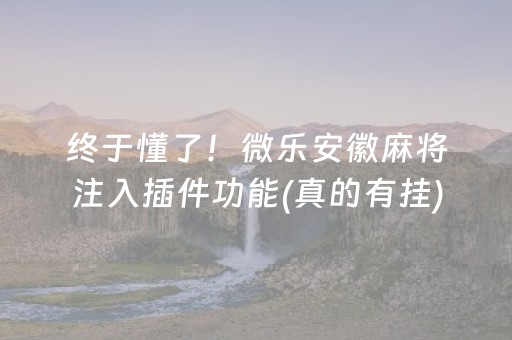 终于懂了！微乐安徽麻将注入插件功能(真的有挂)