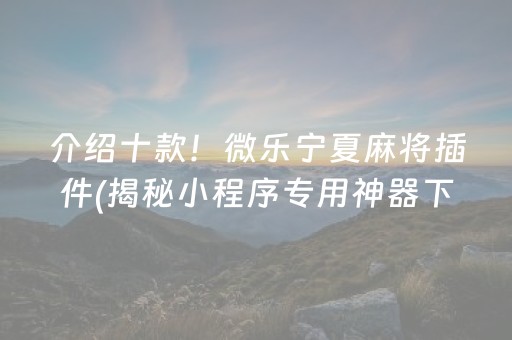 介绍十款！微乐宁夏麻将插件(揭秘小程序专用神器下载)