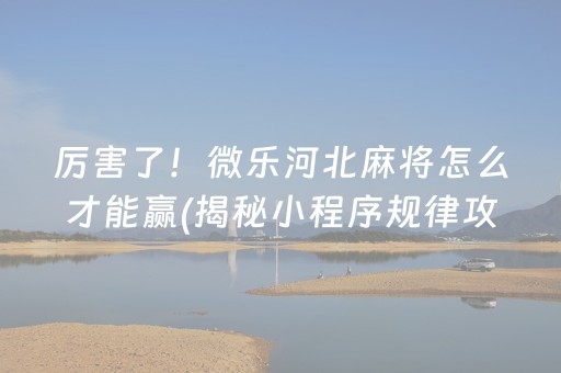 厉害了！微乐河北麻将怎么才能赢(揭秘小程序规律攻略)
