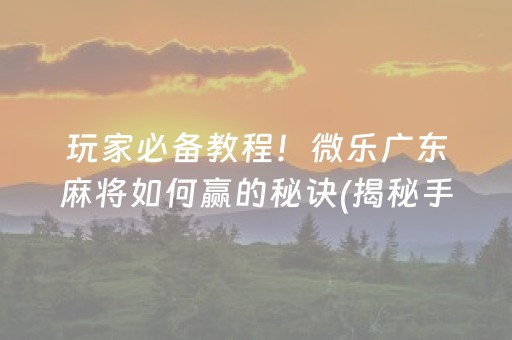 玩家必备教程！微乐广东麻将如何赢的秘诀(揭秘手机上确实有猫腻)
