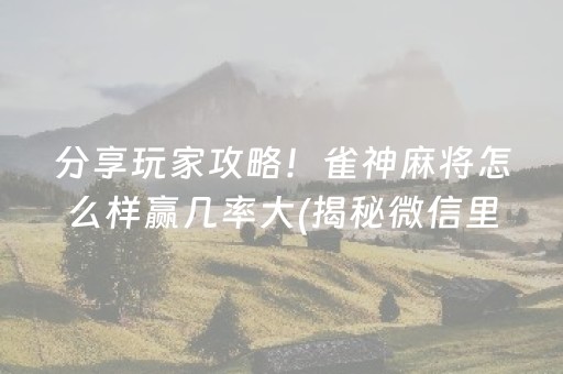 分享玩家攻略！雀神麻将怎么样赢几率大(揭秘微信里辅牌器)