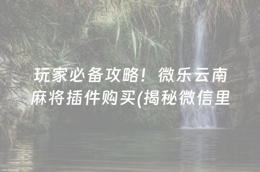 玩家必备攻略！微乐云南麻将插件购买(揭秘微信里助赢神器购买)