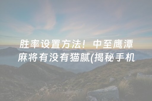 胜率设置方法！中至鹰潭麻将有没有猫腻(揭秘手机上赢牌的技巧)