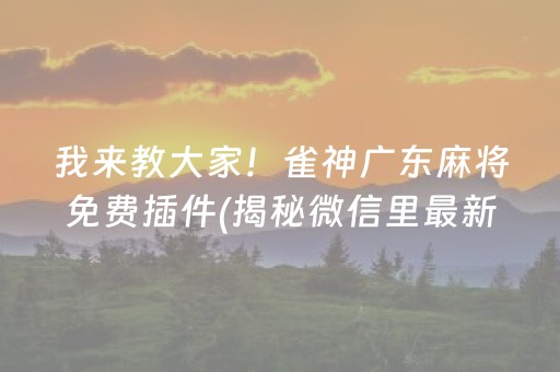 我来教大家！雀神广东麻将免费插件(揭秘微信里最新神器下载)