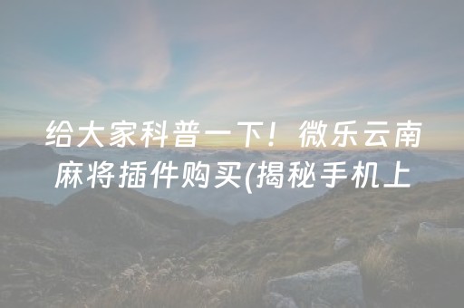 给大家科普一下！微乐云南麻将插件购买(揭秘手机上辅牌器)