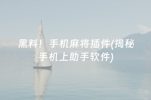 黑料！手机麻将插件(揭秘手机上助手软件)