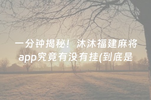 一分钟揭秘！沐沐福建麻将app究竟有没有挂(到底是不是有挂)