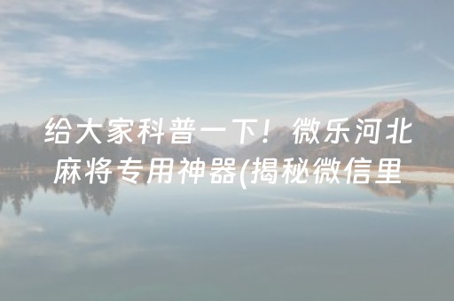 给大家科普一下！微乐河北麻将专用神器(揭秘微信里插件购买)