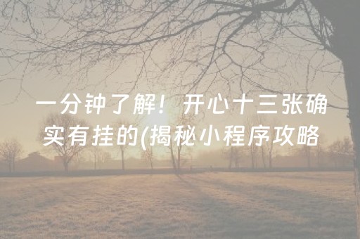 一分钟了解！开心十三张确实有挂的(揭秘小程序攻略插件)