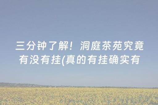 三分钟了解！洞庭茶苑究竟有没有挂(真的有挂确实有挂)