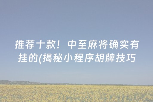 推荐十款！中至麻将确实有挂的(揭秘小程序胡牌技巧)