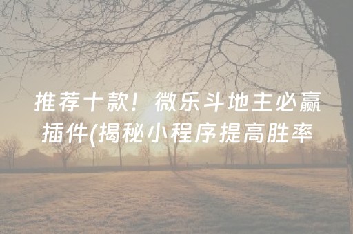 推荐十款！微乐斗地主必赢插件(揭秘小程序提高胜率)