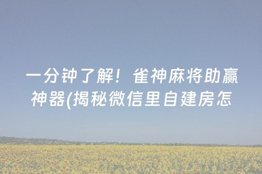 一分钟了解！雀神麻将助赢神器(揭秘微信里自建房怎么赢)