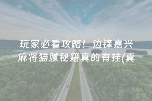 玩家必看攻略！边锋嘉兴麻将猫腻秘籍真的有挂(真的确实是有挂)