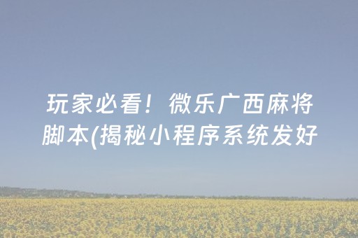 玩家必看！微乐广西麻将脚本(揭秘小程序系统发好牌)