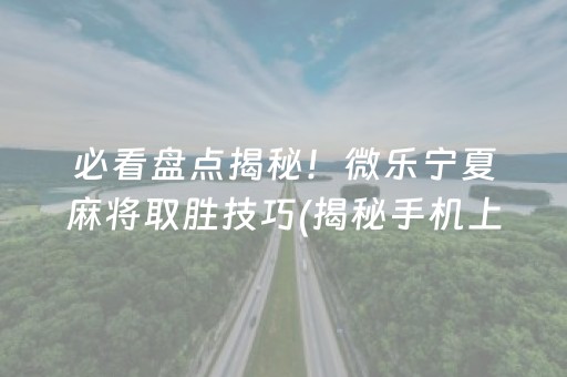 必看盘点揭秘！微乐宁夏麻将取胜技巧(揭秘手机上专用神器)