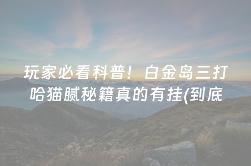 玩家必看科普！白金岛三打哈猫腻秘籍真的有挂(到底是不是有挂)