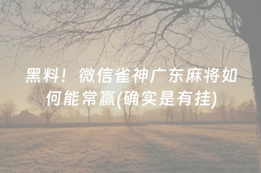 黑料！微信雀神广东麻将如何能常赢(确实是有挂)