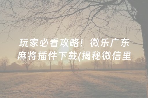 玩家必看攻略！微乐广东麻将插件下载(揭秘微信里提高赢的概率)