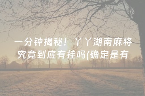 一分钟揭秘！丫丫湖南麻将究竟到底有挂吗(确定是有挂)