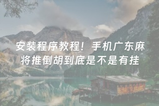 安装程序教程！手机广东麻将推倒胡到底是不是有挂(原来真的有挂)