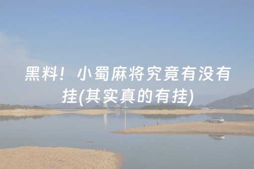 黑料！小蜀麻将究竟有没有挂(其实真的有挂)