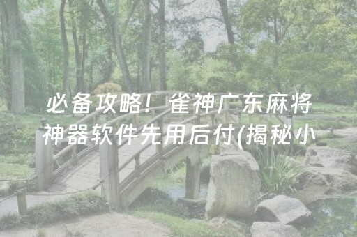 必备攻略！雀神广东麻将神器软件先用后付(揭秘小程序专用神器下载)