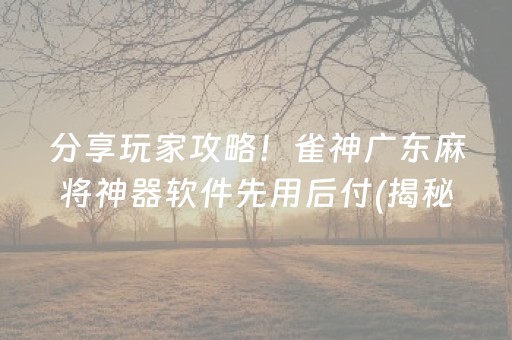 分享玩家攻略！雀神广东麻将神器软件先用后付(揭秘手机上如何让牌变好)
