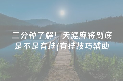 三分钟了解！天涯麻将到底是不是有挂(有挂技巧辅助器)