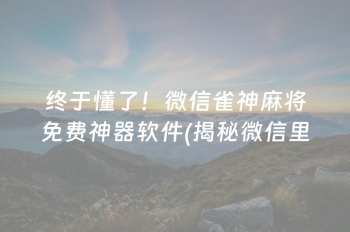 终于懂了！微信雀神麻将免费神器软件(揭秘微信里插件免费)