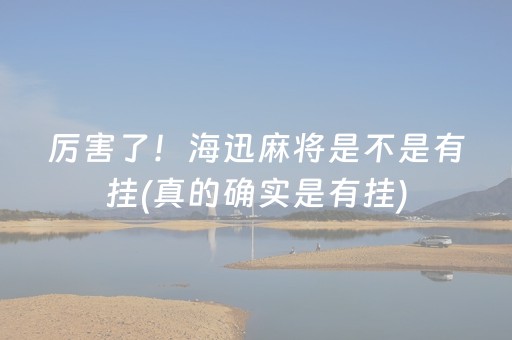 厉害了！海迅麻将是不是有挂(真的确实是有挂)