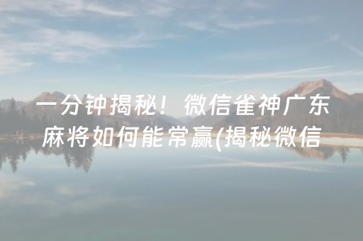 一分钟揭秘！微信雀神广东麻将如何能常赢(揭秘微信里插件购买)